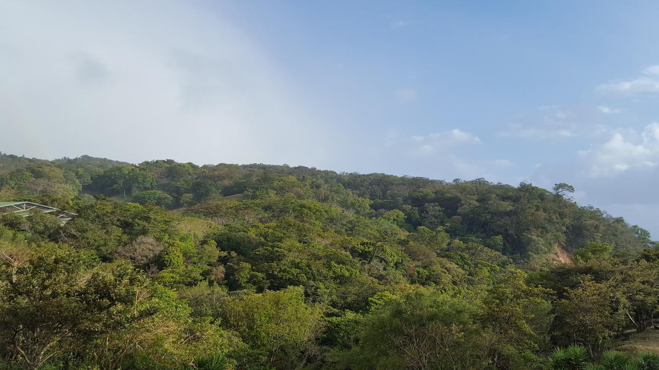 Que Tuanis Hostel Monteverde Exteriör bild